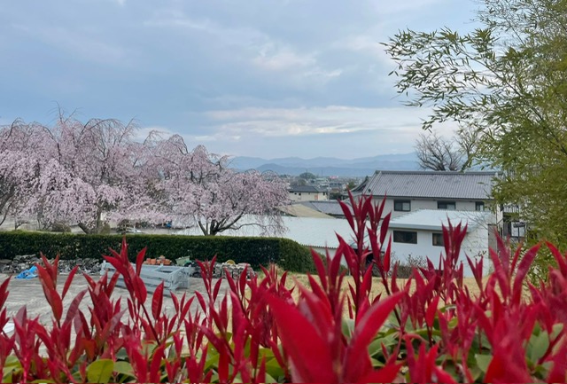 Zen.nl, Zen, meditatie, leren mediteren, pelgrimstocht, Japan, 2027, Shikoku